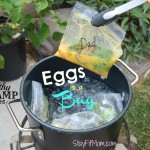The perfect healthy camp breakfast! Love this Healthy Camp Series from StayFitMom.com!