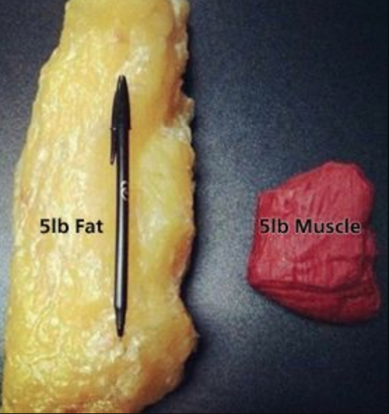 Scale Trends for Fat Loss - Stay Fit Mom