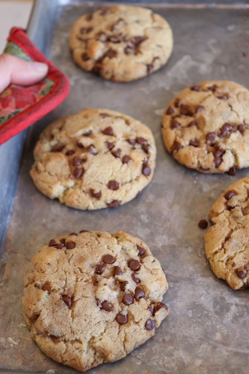 Protein Chocolate Chip Cookies showing cookie sheet being removed from the oven with baked cookies.